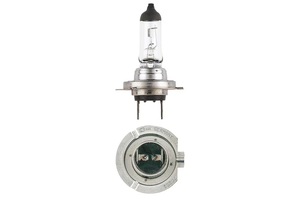 48728 H7 24V 70W Globe Halogen Kamo Parts