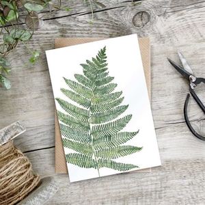 Cards - Fern - Kamo Village Florist