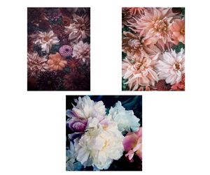 Card - Old World Florals - Kamo Village Florist