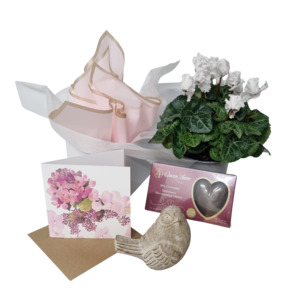 Garden Gift - Kamo Village Florist