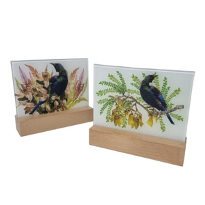 Products: Glass Tui Block - Kamo Village Florist