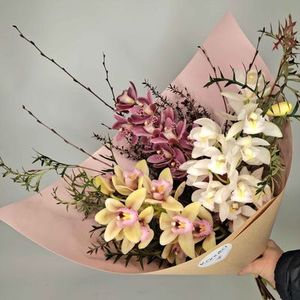 Polymin Orchids