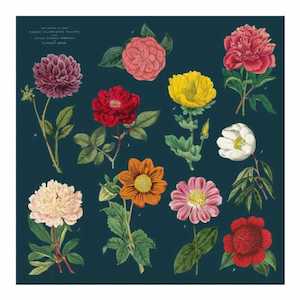 Table Linen: Cloth Napkins Botany Set of 4