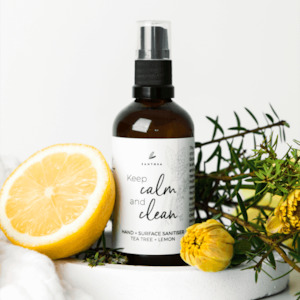 Hand Sanitiser 100ml