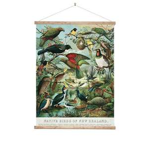 New Zealand Retro Native Birds Poster