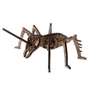 Extra Small FP Weta Fern Brown