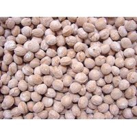 Products: Cough Drops - Aniseed