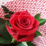 Products: Mauve Bouquet