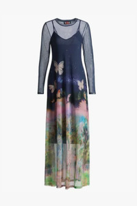 Mesh long sleeve maxi dress (Aurelius)