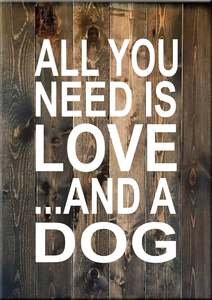 AN7 ALL YOU NEED IS LOVE AND A DOG