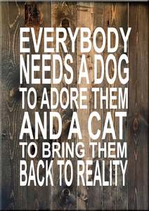 AN1 EVERYBODY NEEDS A DOG