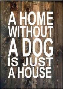 Animal Signs: AN3 A HOME WITH OUT A DOG