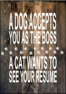 Animal Signs: AN9 A DOG ACCEPTS YOU
