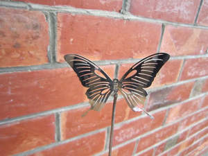 SB5 47CM STAINLESS BUTTERFLY