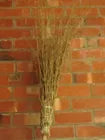 Specials: WB1 WITCHES BROOM (SINGLE)
