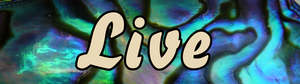 Paua Design: PAU34 LIVE