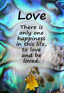 Paua Design: PAU8 LOVE THERE IS ONLY ONE KOWHAI