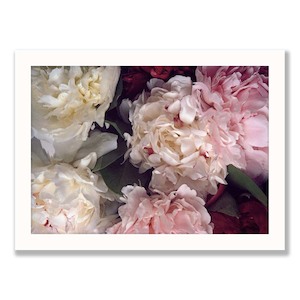 Frontpage: Peony Print One