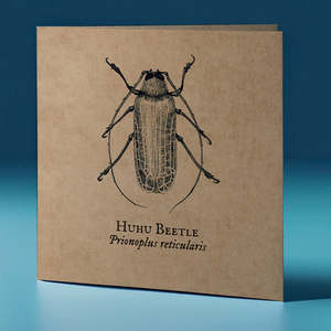 Huhu Beetle Critter Greeting Card