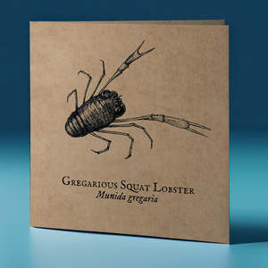 Gregarious Squat Lobster Critter Greeting Card