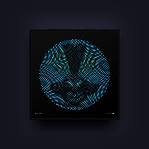 Products: Piwakawaka / Polydot