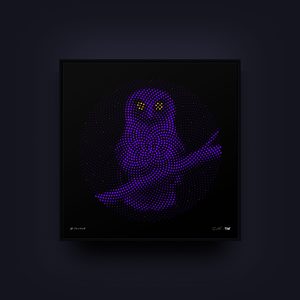 Products: Ruru / Polydot