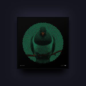 Products: Kereru / Polydot