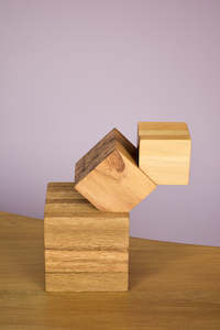 Object: Body without Organs