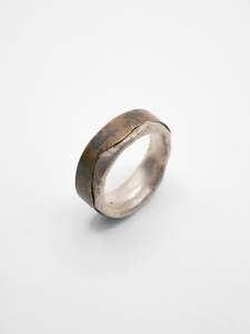 2C Landscape Ring ~ Silver & Bronze