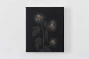 Rosa’s Tithonia III