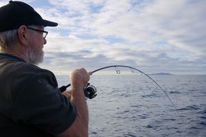 "Brute" Softbait rod 7'6" Kaveman Tackle