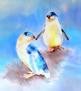 Little Blue Peguin, Korora   Outdoor Wall Art Panel -  Squarish