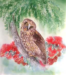 New Zealand Ruru, Morepork, and Pohutukawa Flowers -  Squarish