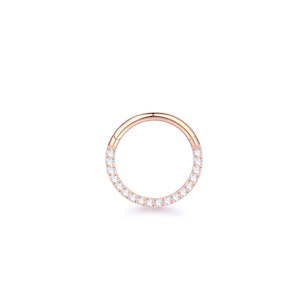 Hinged Rings: Rose Gold CZ Front Titanium Hinged Ring