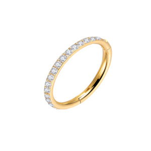Hinged Rings: 16g Gold CZ Outer Titanium Hinged Ring