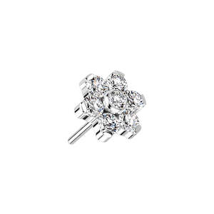 Nose Piercing Jewellery: Silver Cubic Zirconia Titanium Threadless Flower Top