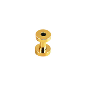 Plugs And Tunnels: Gold Surgical Steel Screw Tunnel