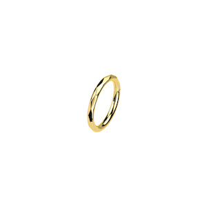 Gold Faceted Titanium Hinged Ring