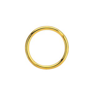 Side Lip Piercing Jewellery: 16g Gold Surgical Steel Hinged Ring