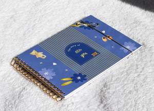 Baby Journals: Baby Memory Journal (Mauve)