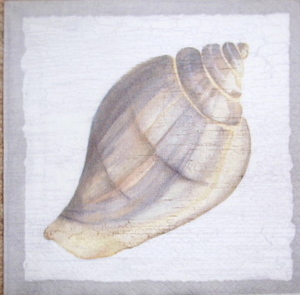 Seascape: Ss136