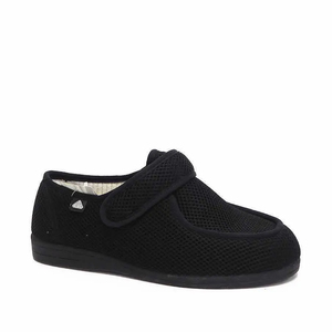 Products: Celia Ruiz Wallaby - Kelly's Footwear