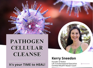 Products: Pathogen Cellular Cleanse Program Kerry Sneedon