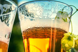 Products: Long Beak Hoppy Lager