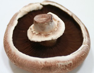 Products: Mushrooms - Portobello - Kerikeri Organic