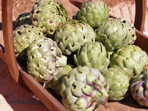Products: Artichokes - Globe - Kerikeri Organic