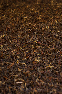 Oolong