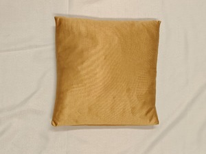 Hireage: Mustard Glow Minimalist Accent Cushion