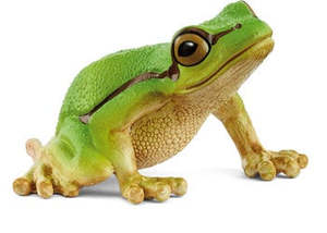 Schleich Toys: Schleich | European Tree Frogs