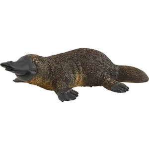 Schleich | Platypus